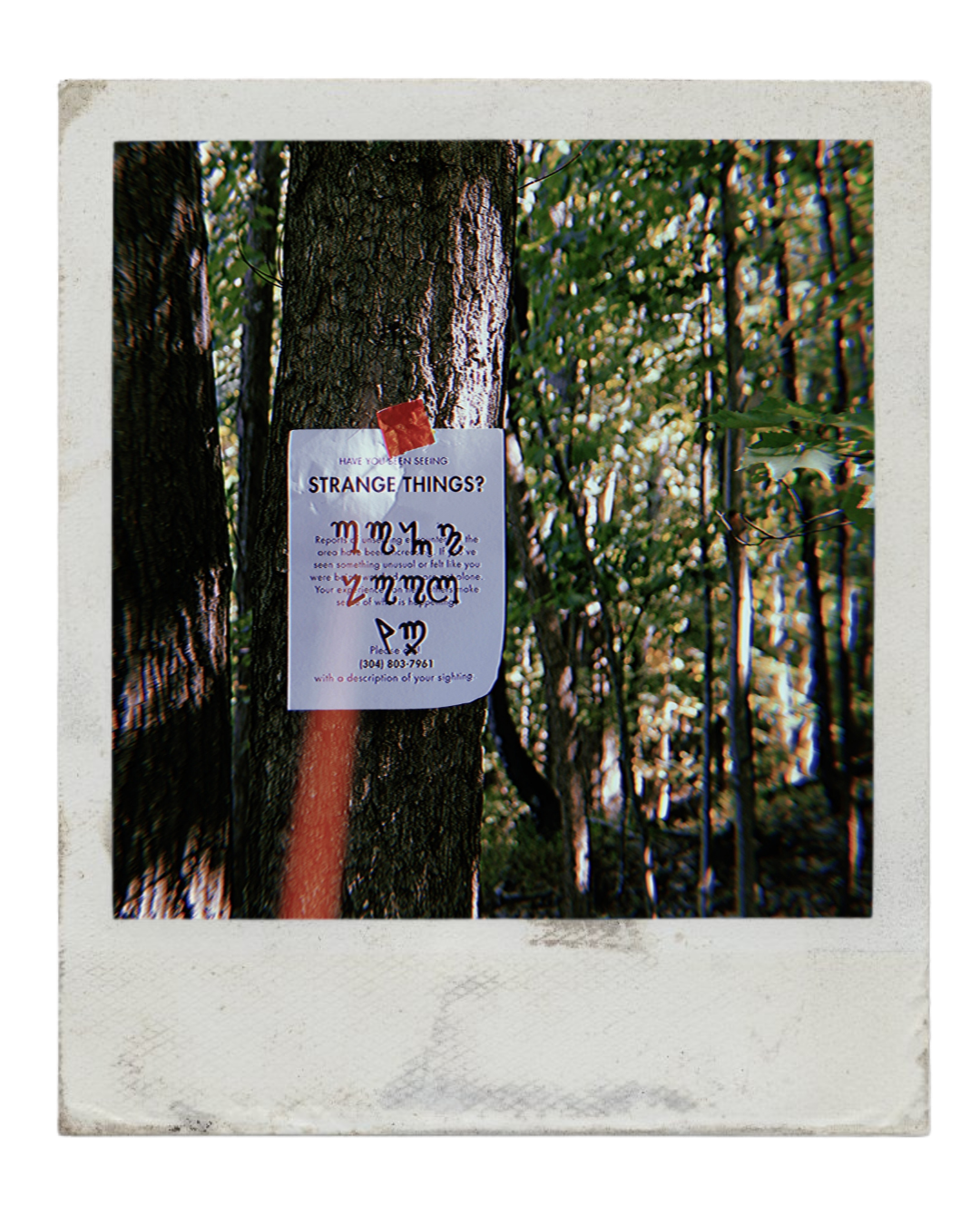 Mothcada_raw_-_Page19_symbol_flyer_polaroid.png